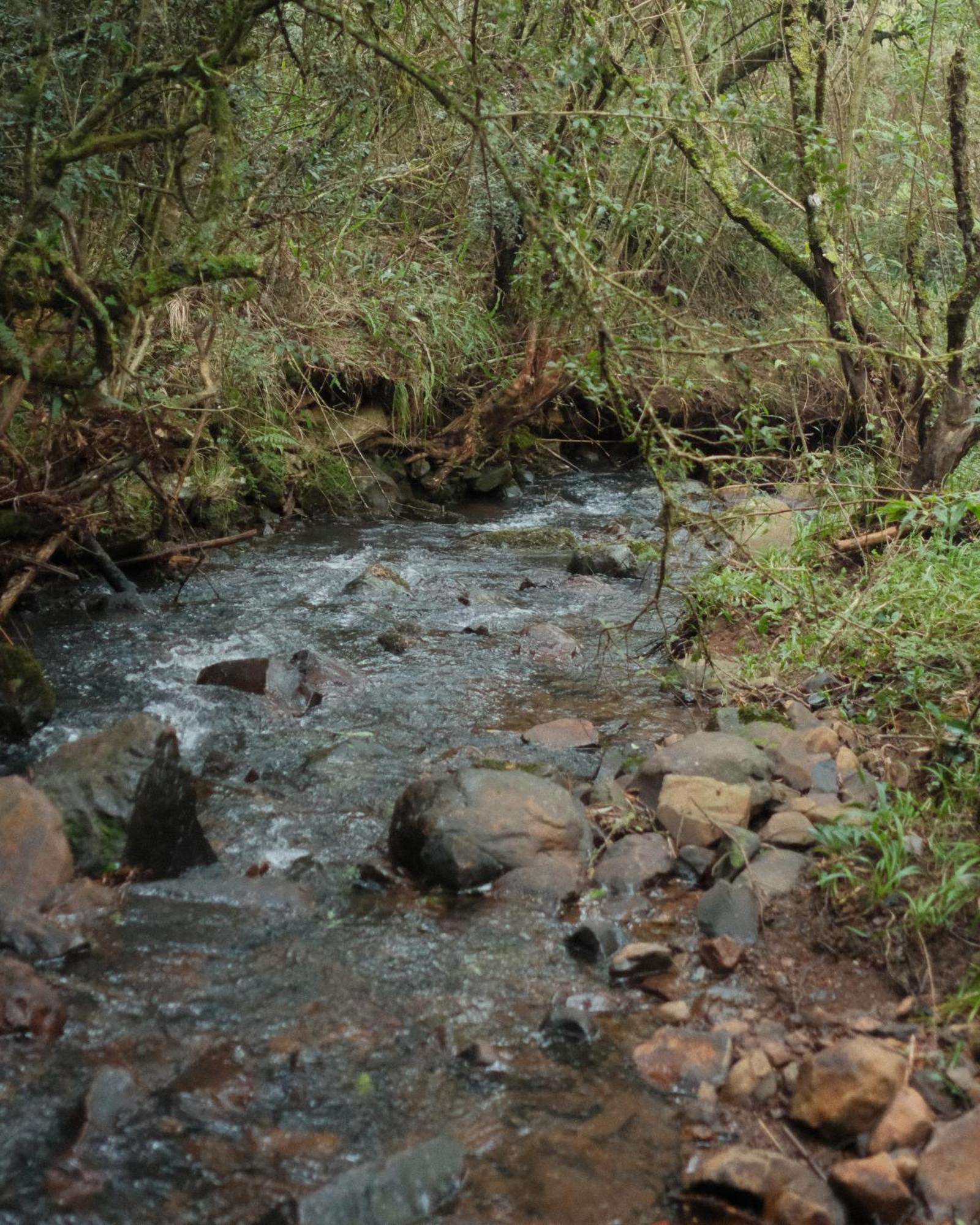 Parque Nacional Ecoresort Urubici Exteriör bild